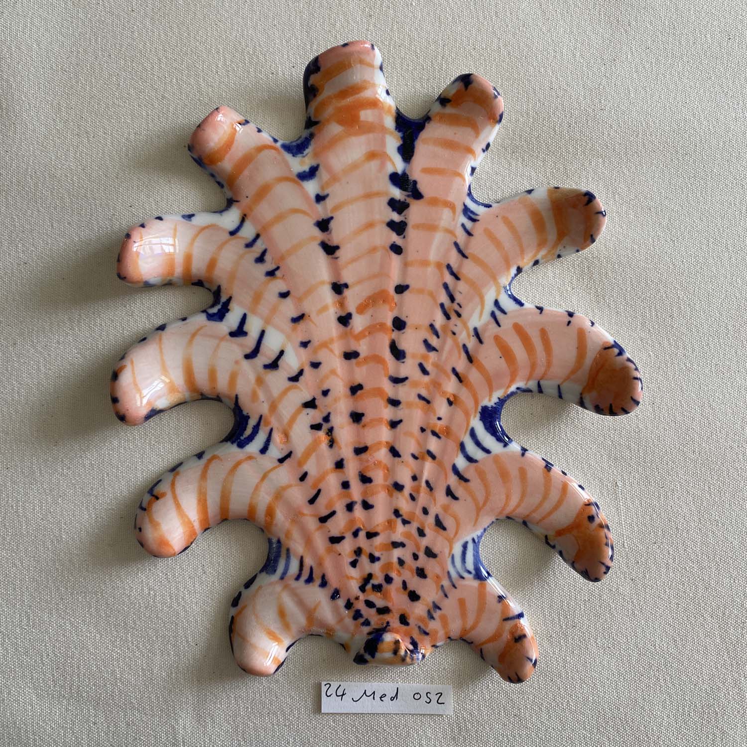 24 medium shell 052