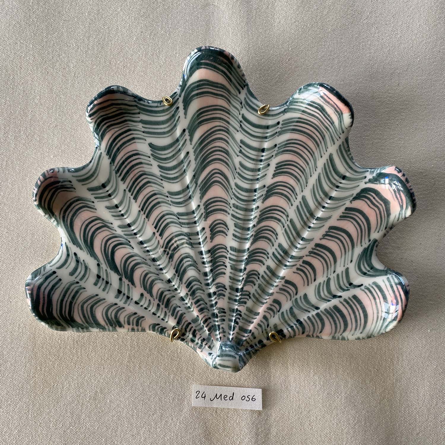 24 medium shell 056
