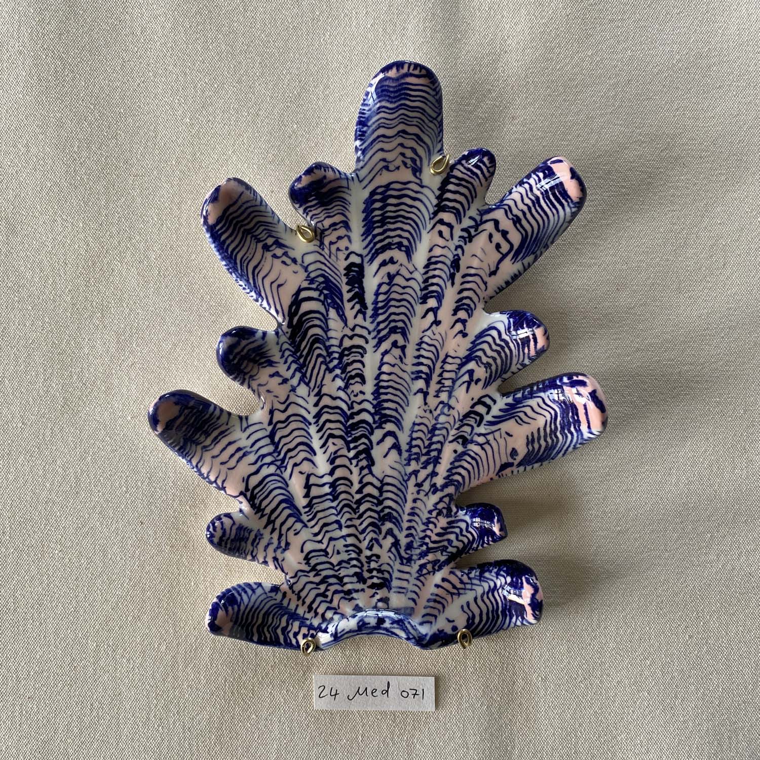 24 medium shell 071