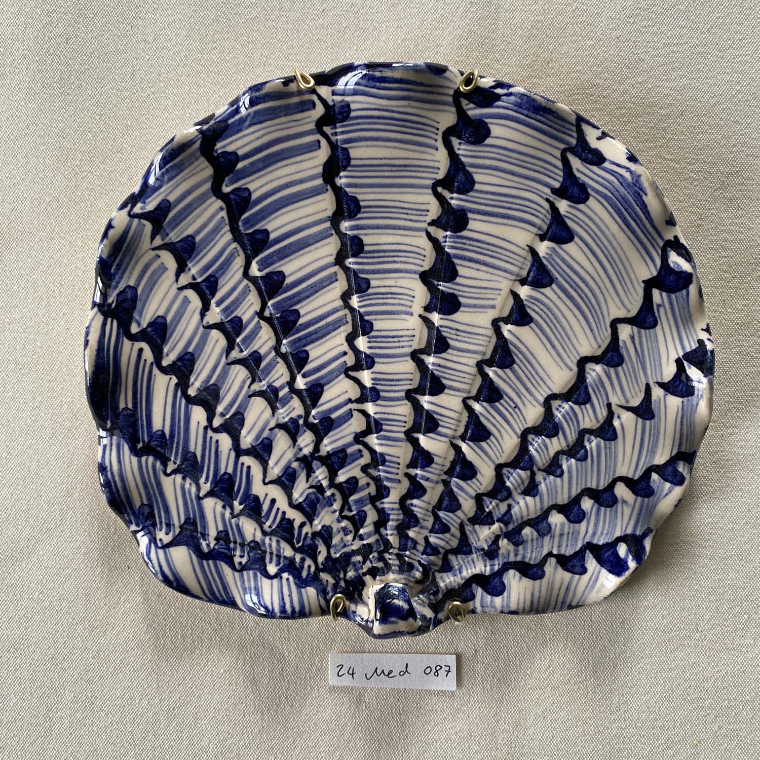 24 medium shell 087