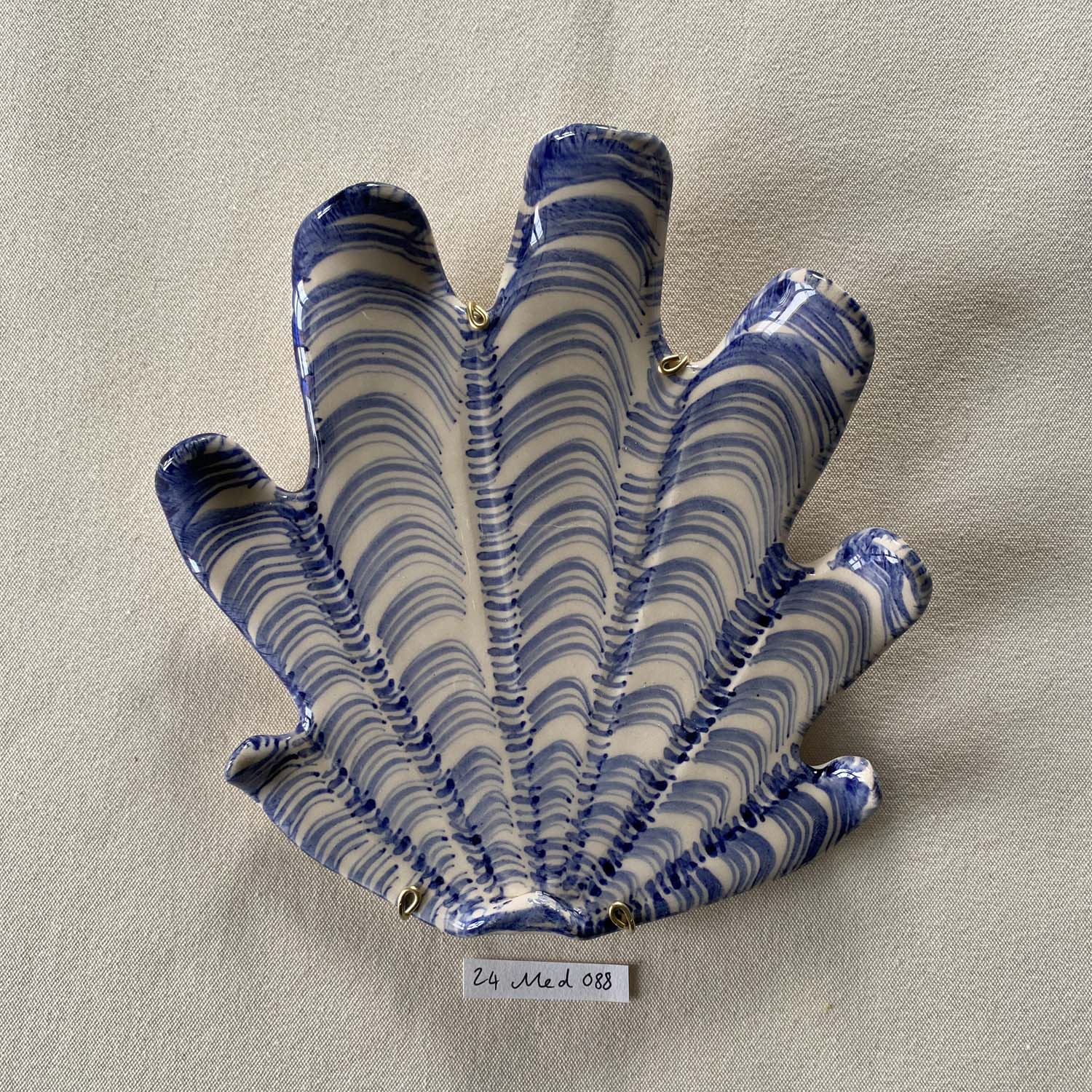 24 medium shell 088