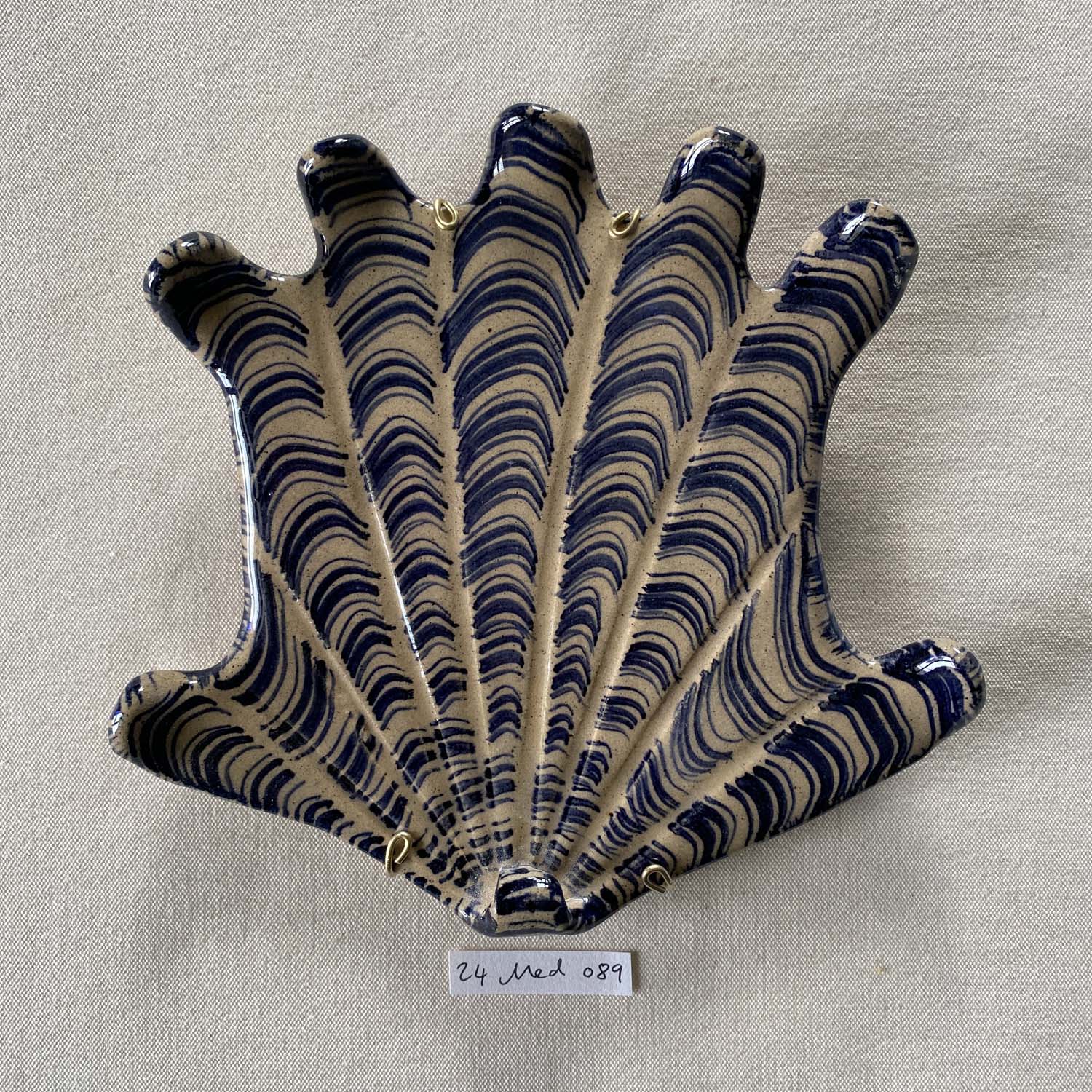 24 medium shell 089