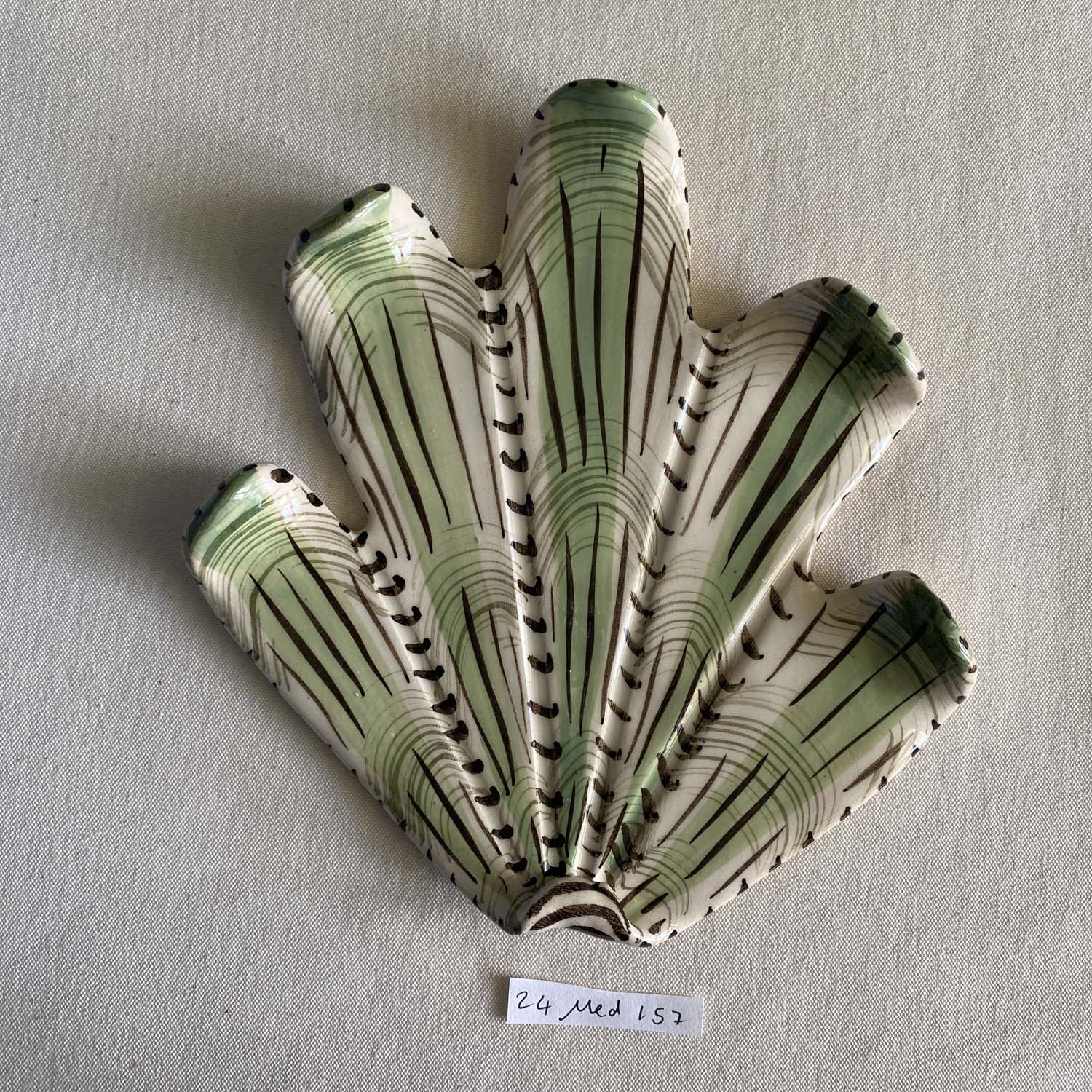 24 medium shell 157