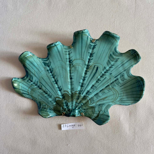 25 large shell 001