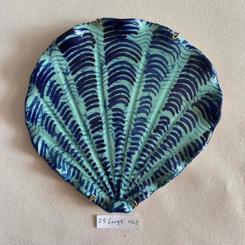 25 large shell 002
