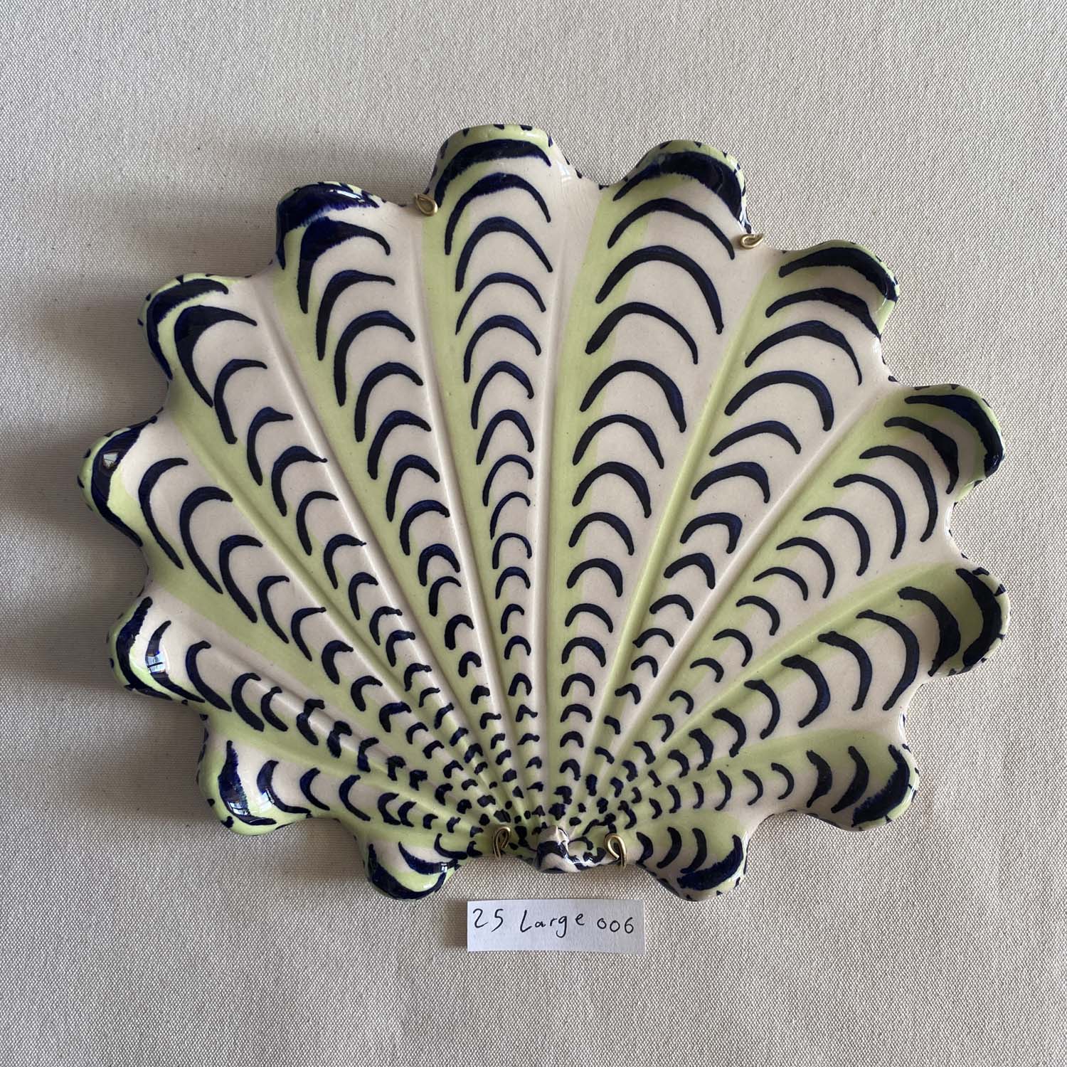 25 large shell 006