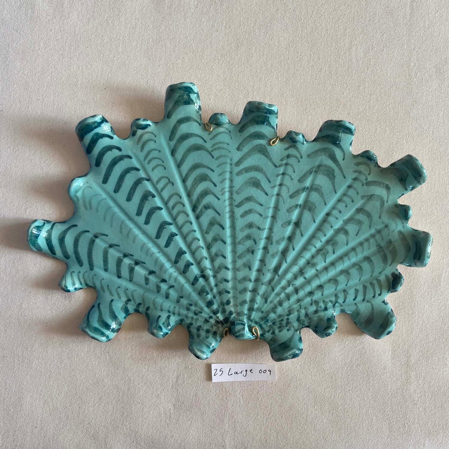 25 large shell 009