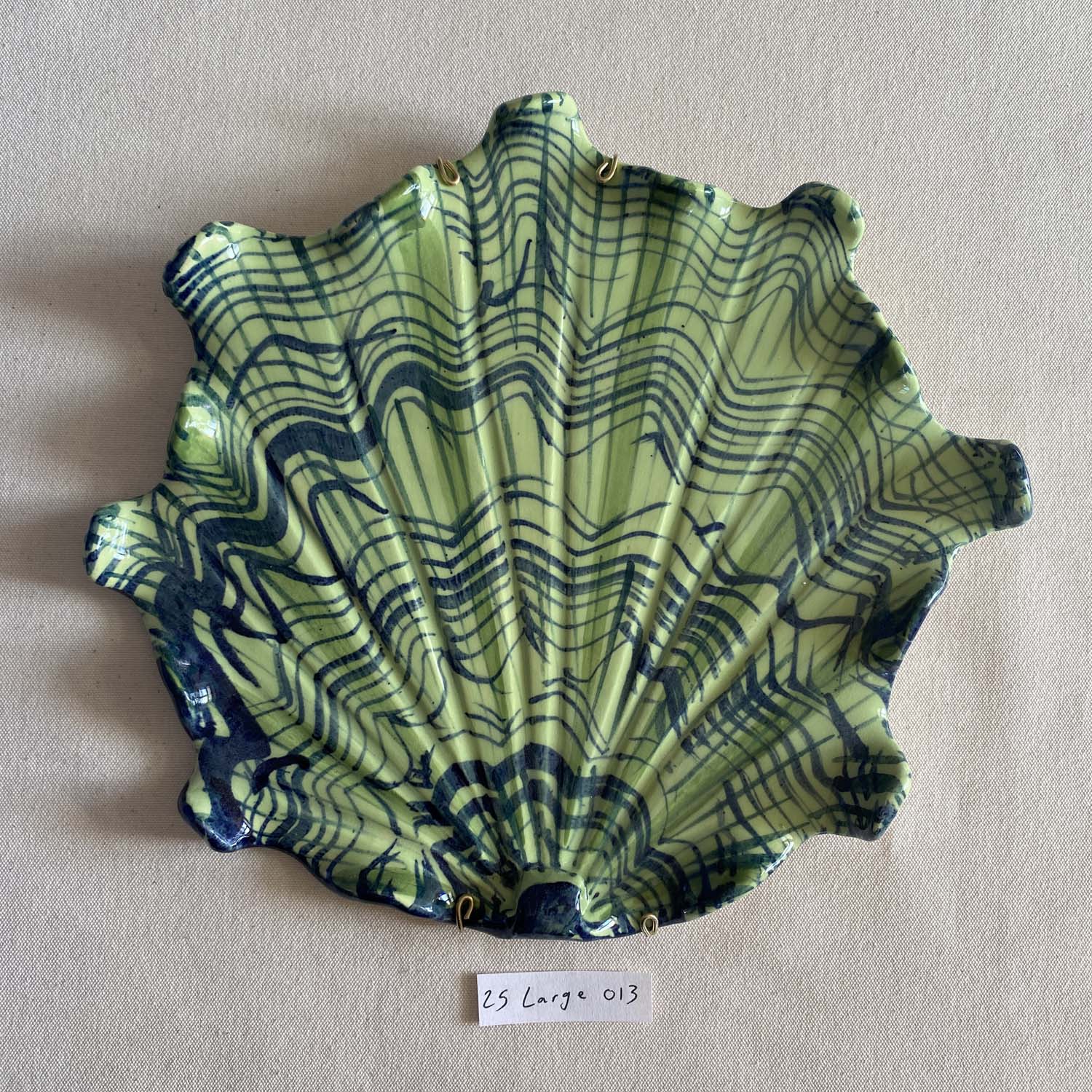 25 large shell 013