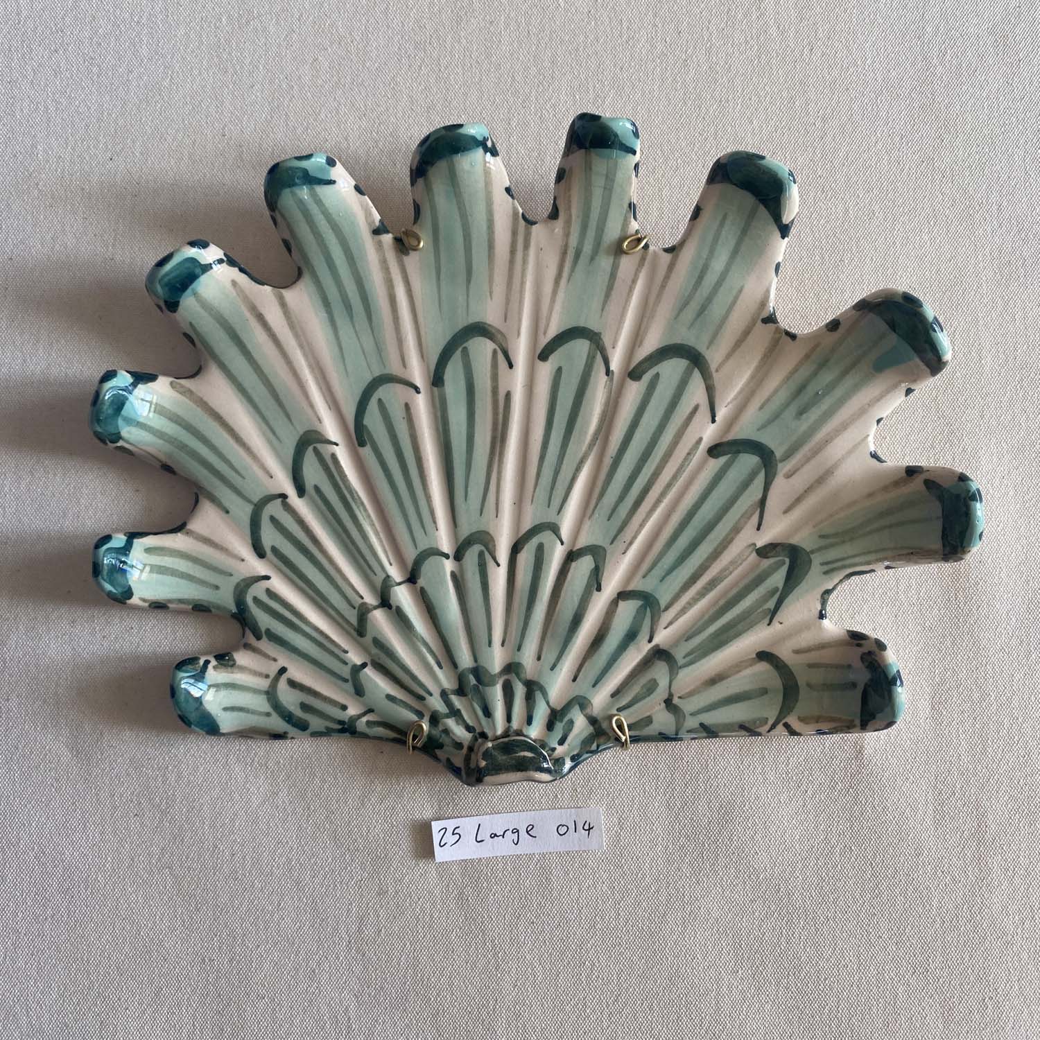 25 large shell 014