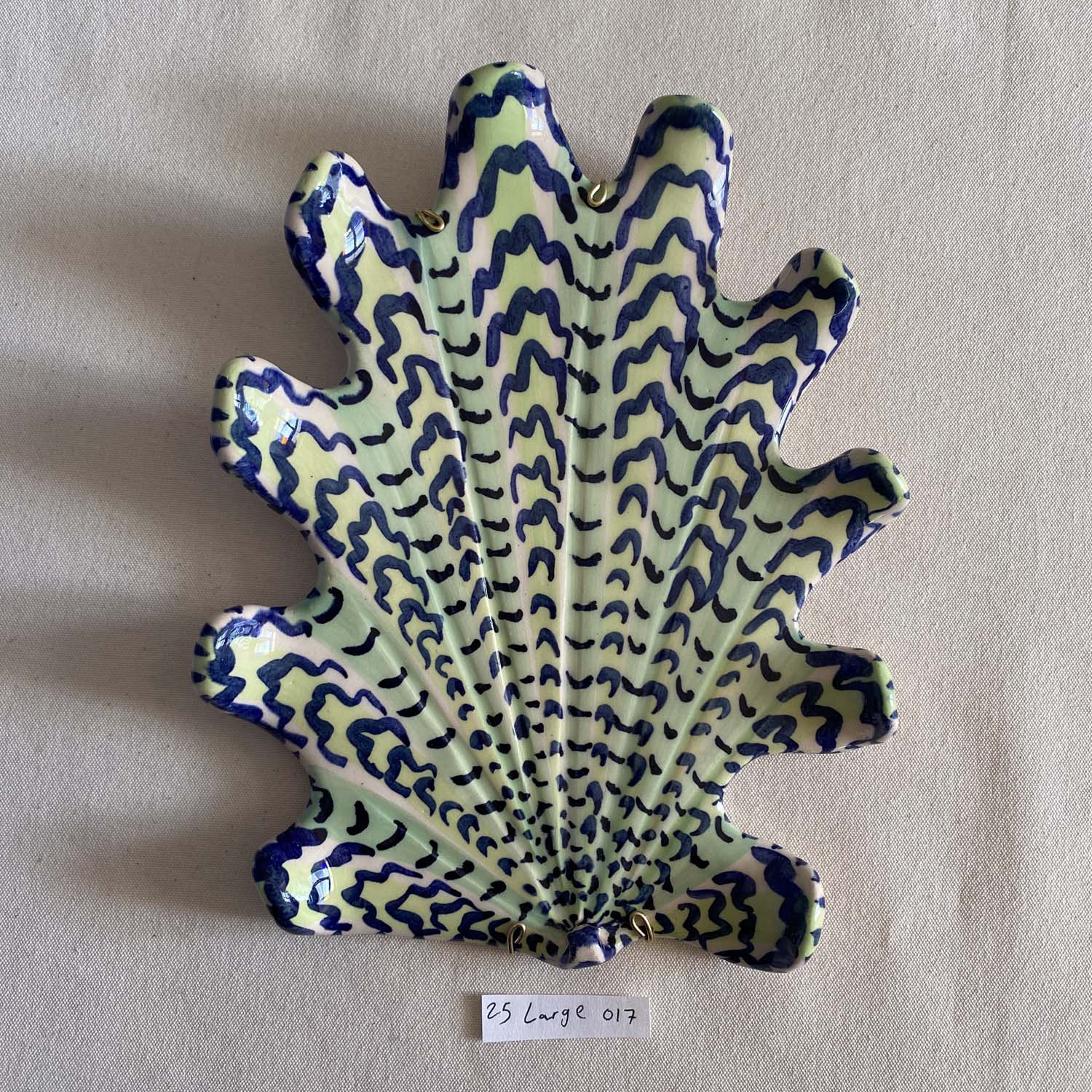 25 large shell 017