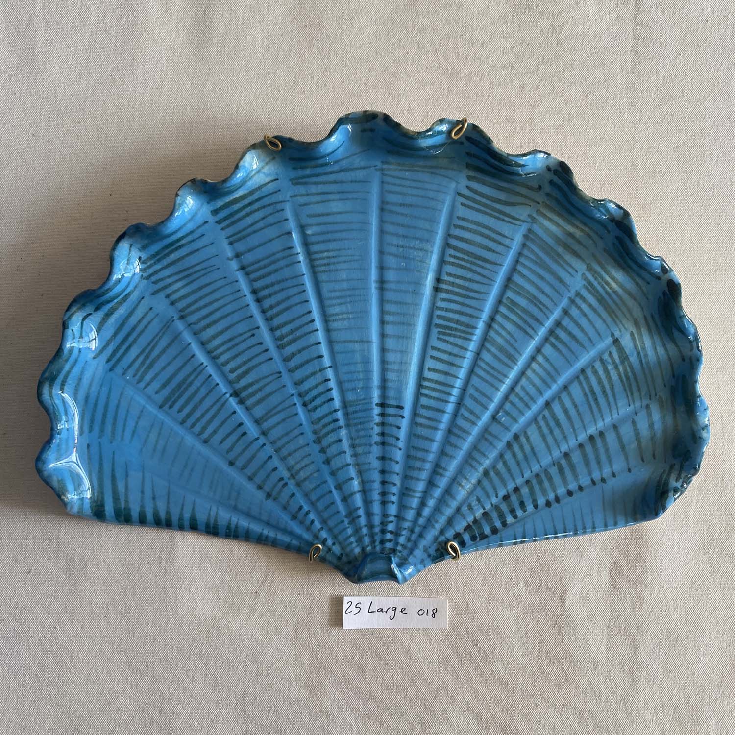 25 large shell 018