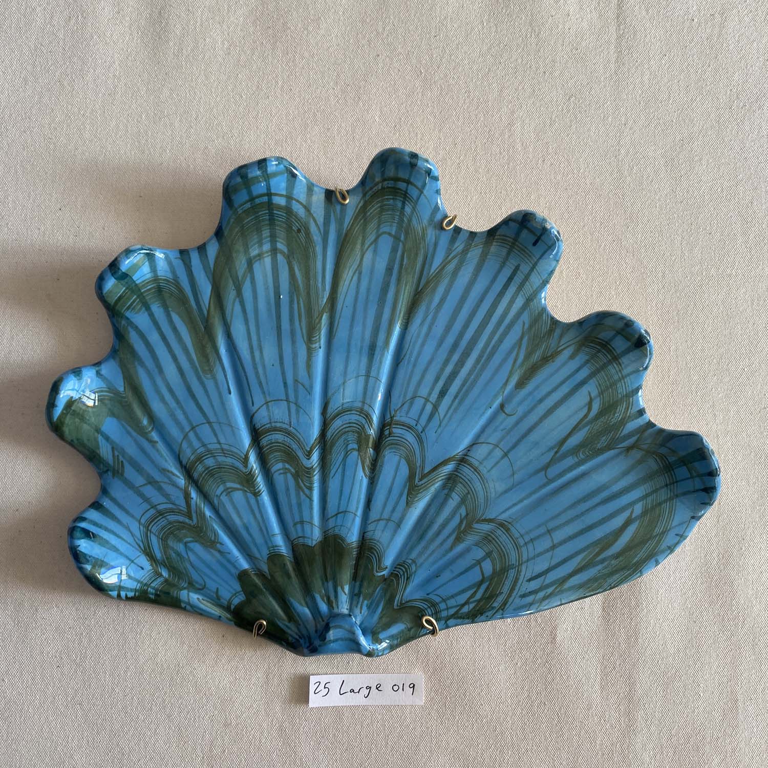 25 large shell 019
