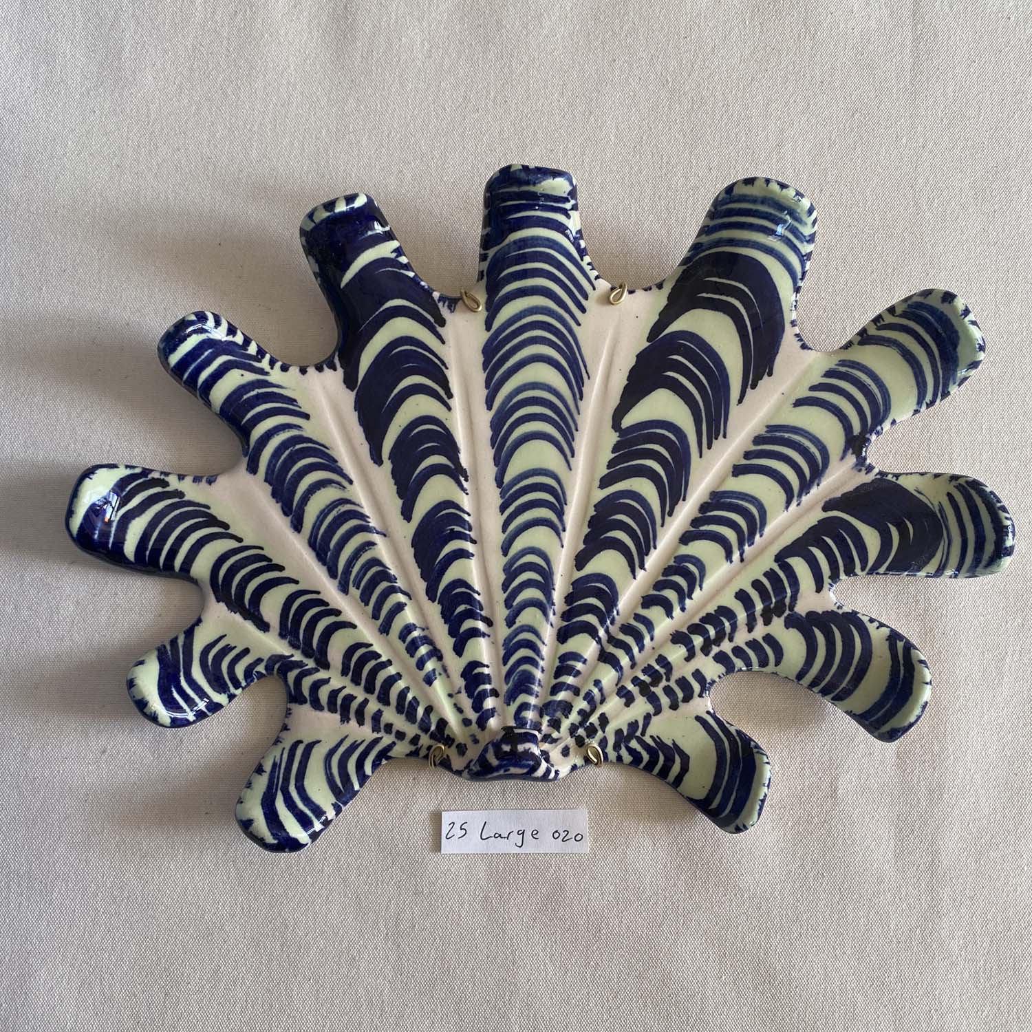 25 large shell 020