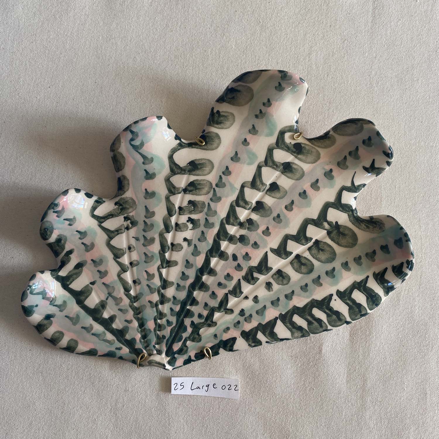 25 large shell 022