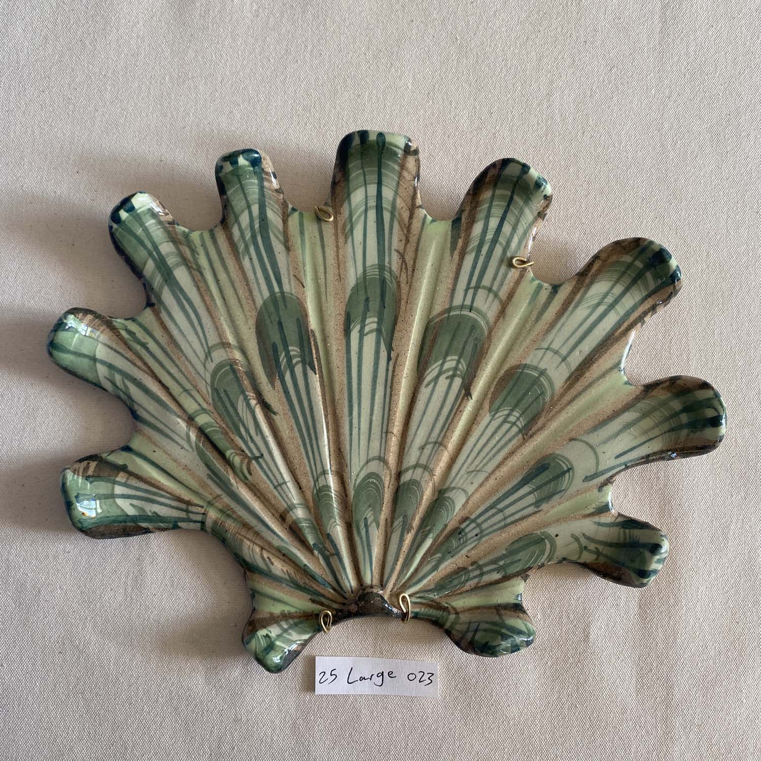25 large shell 023