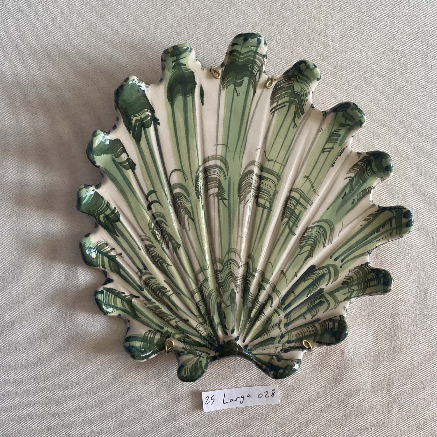 25 large shell 028