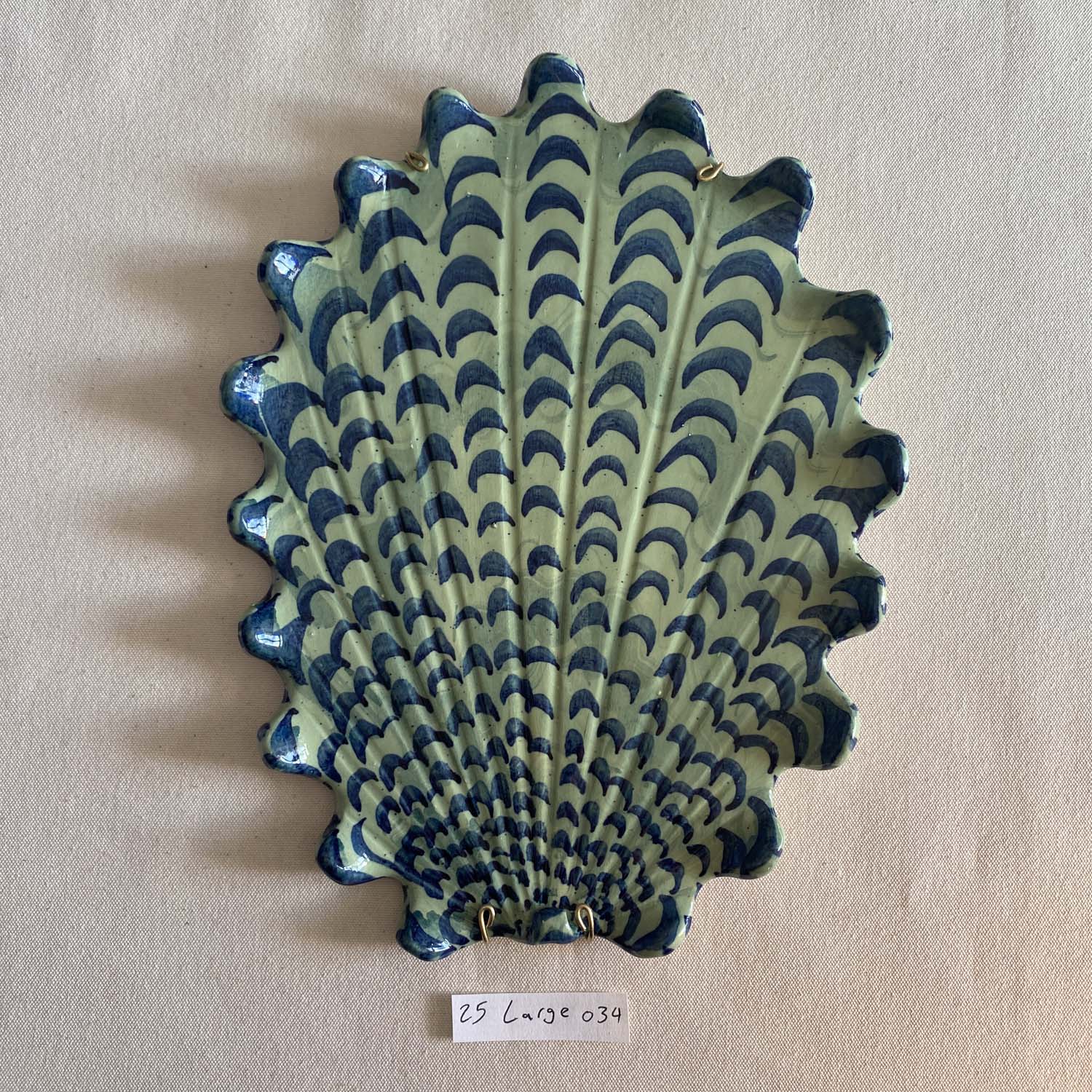 25 large shell 034