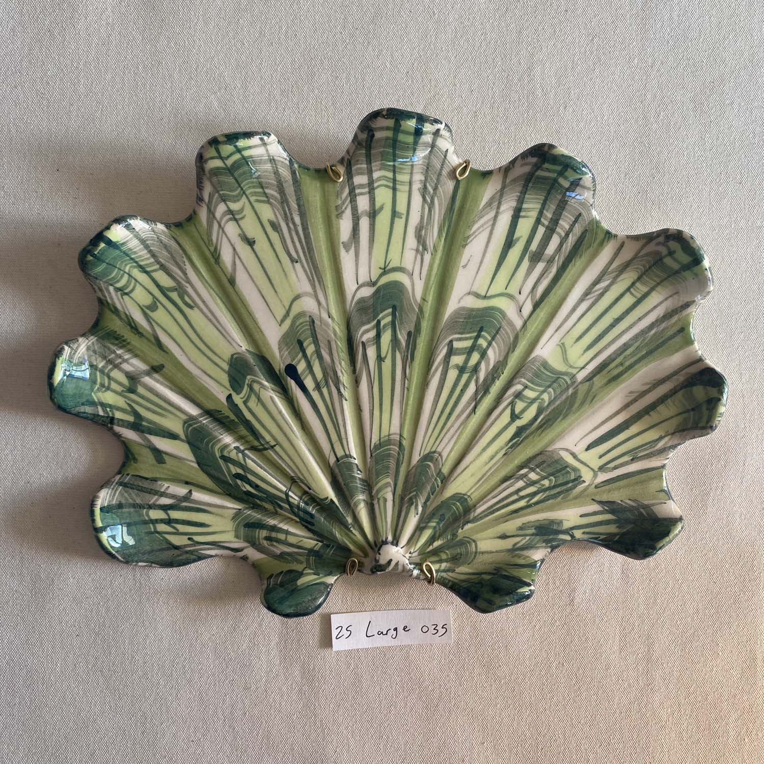 25 large shell 035