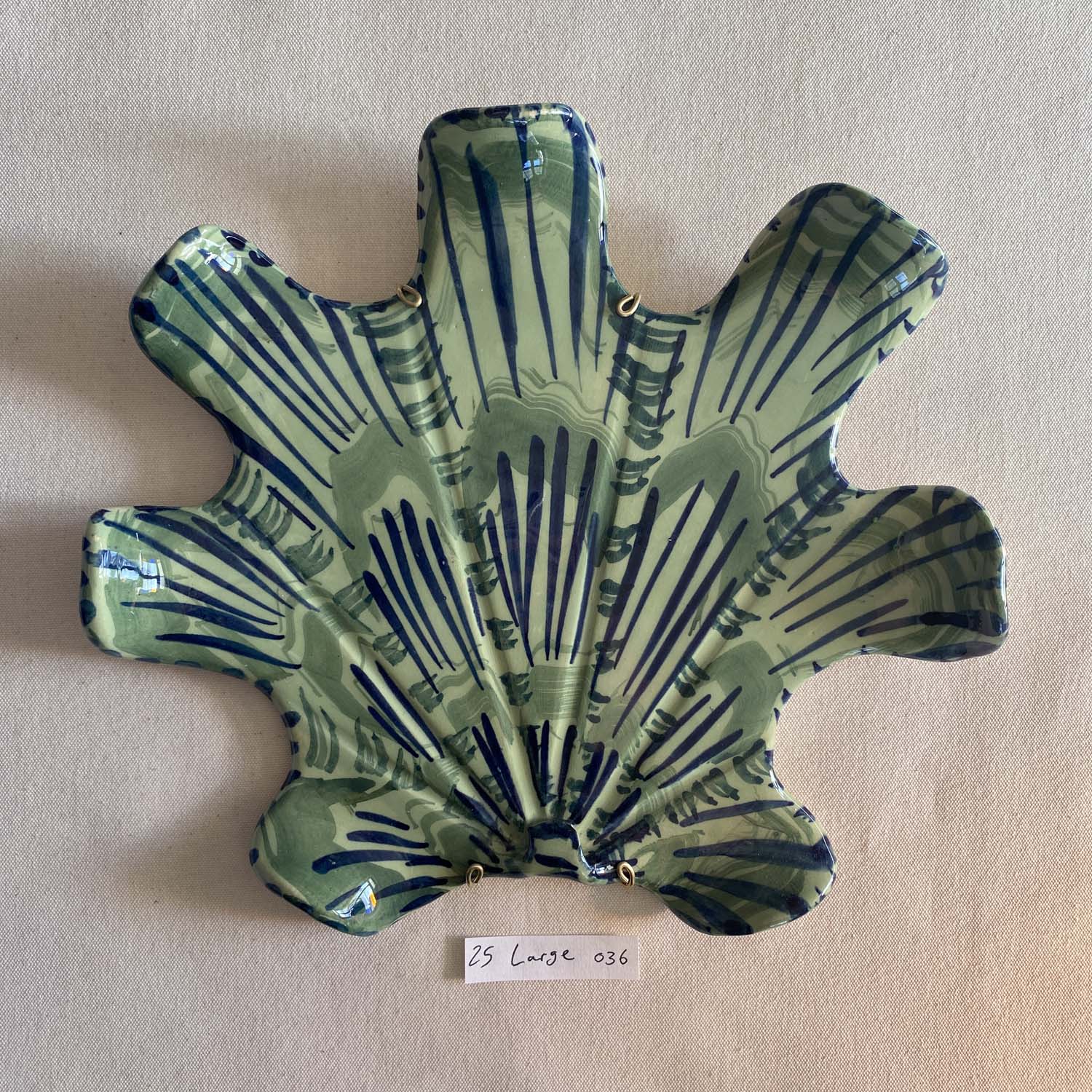 25 large shell 036