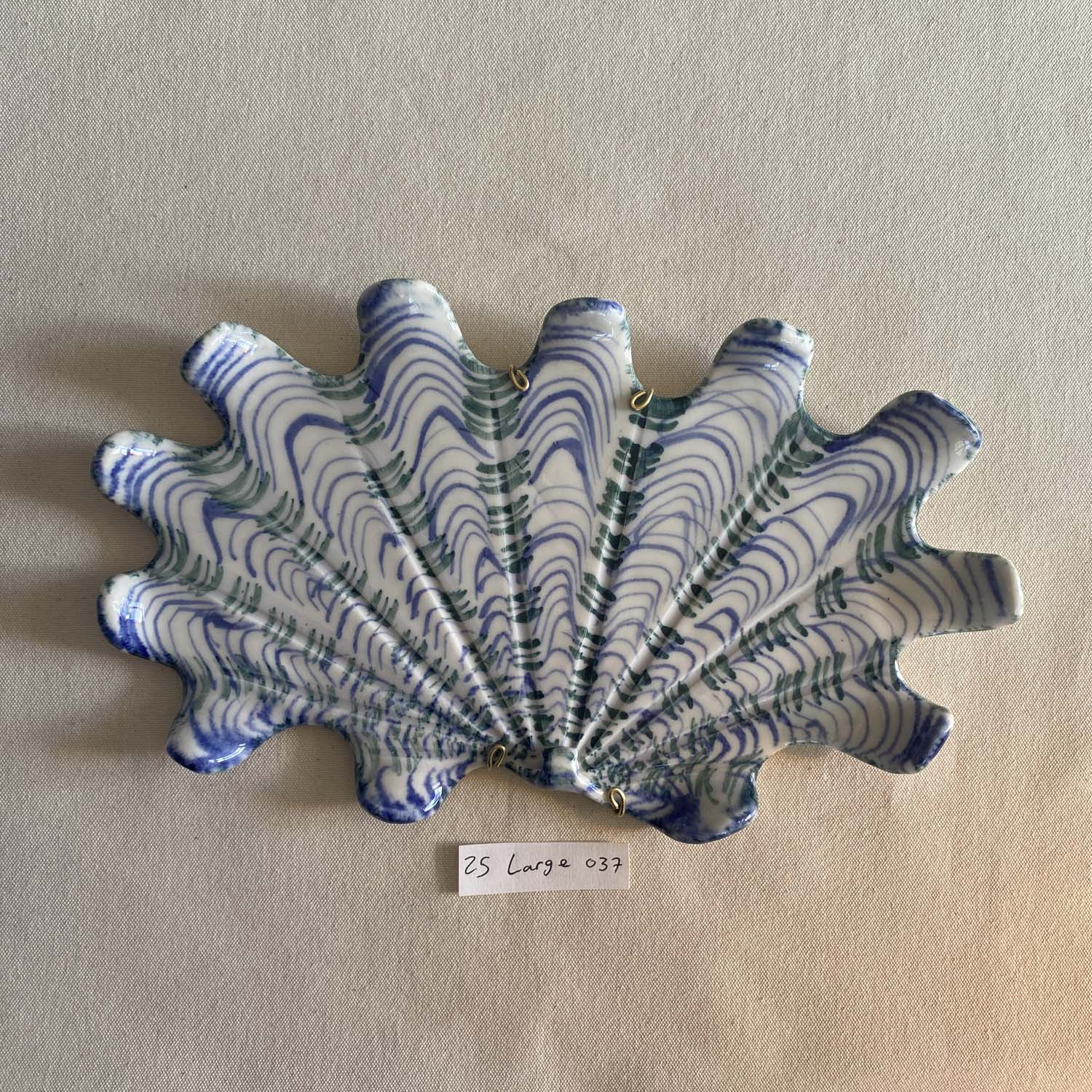 25 large shell 037
