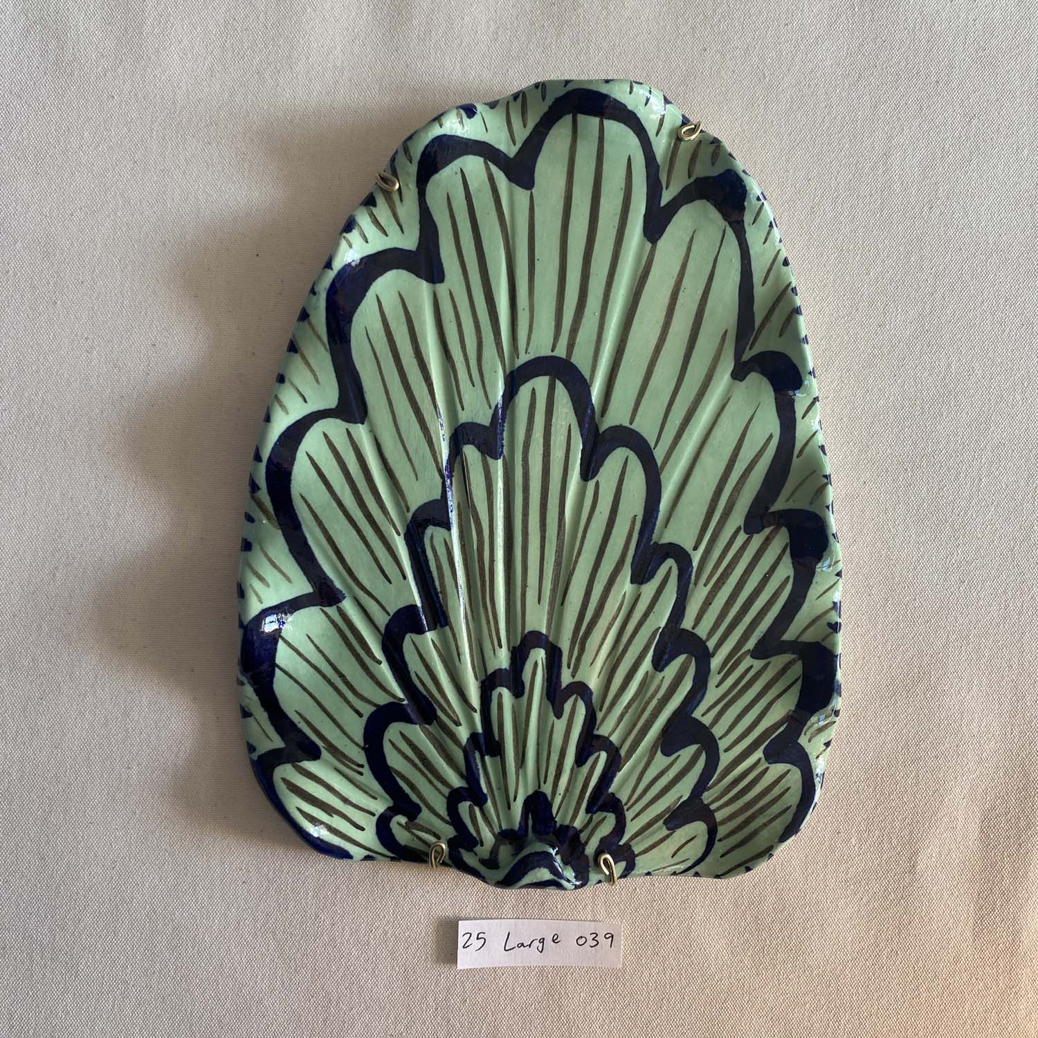 25 large shell 039