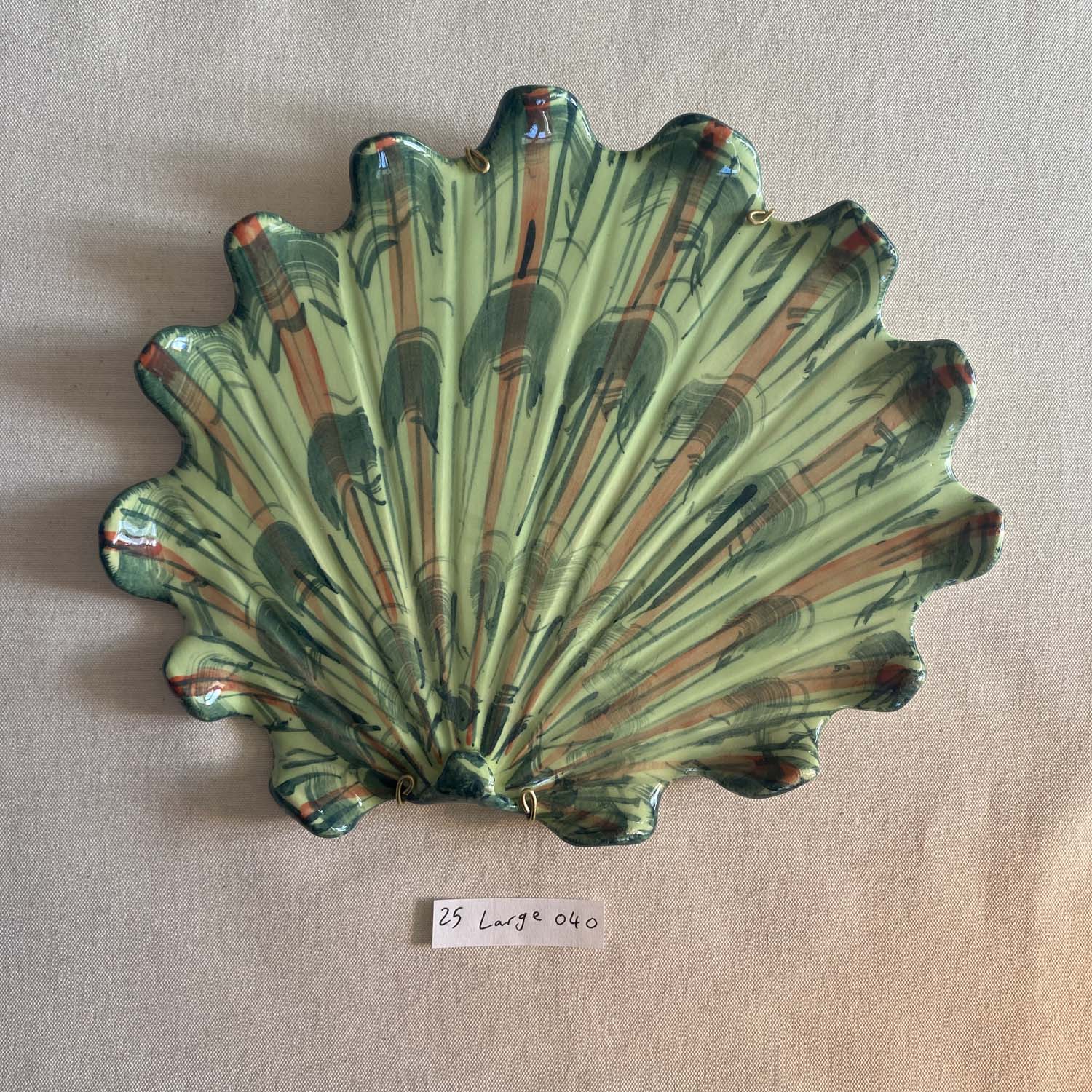 25 large shell 040