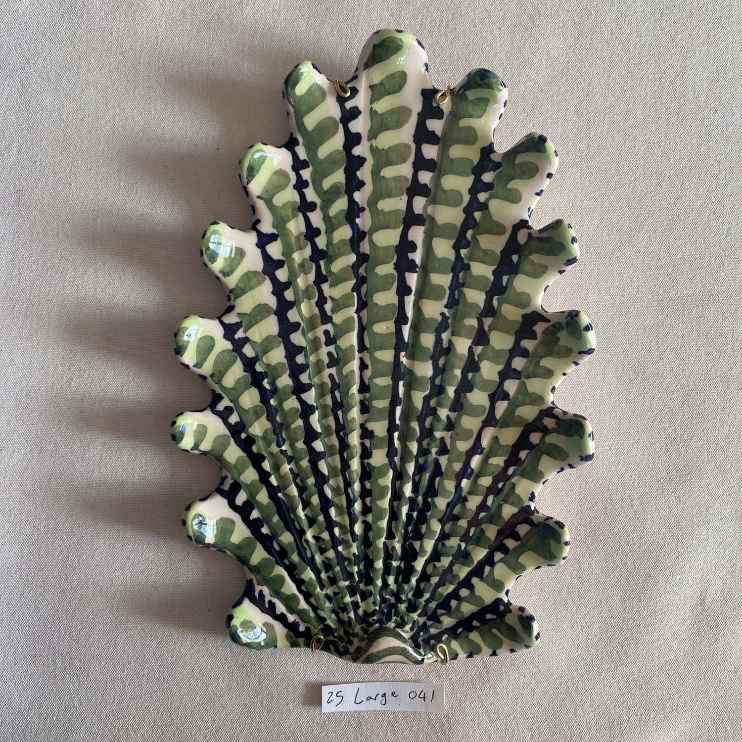 25 large shell 041