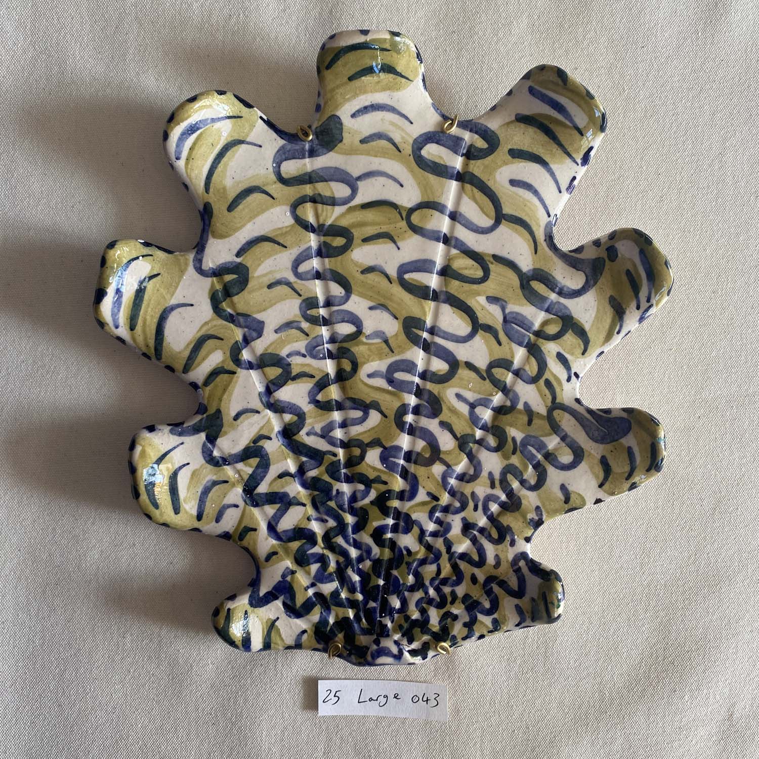 25 large shell 043
