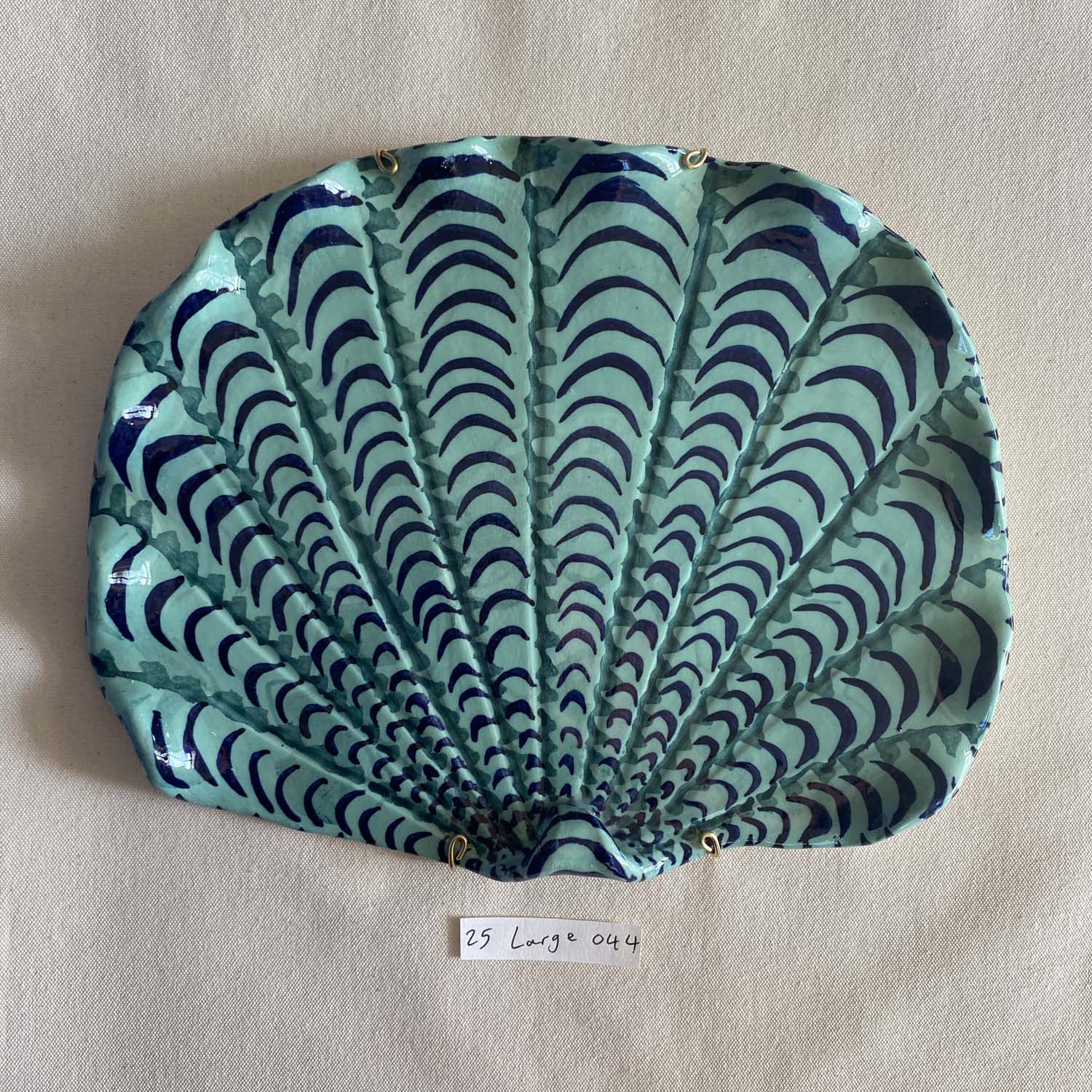 25 large shell 044