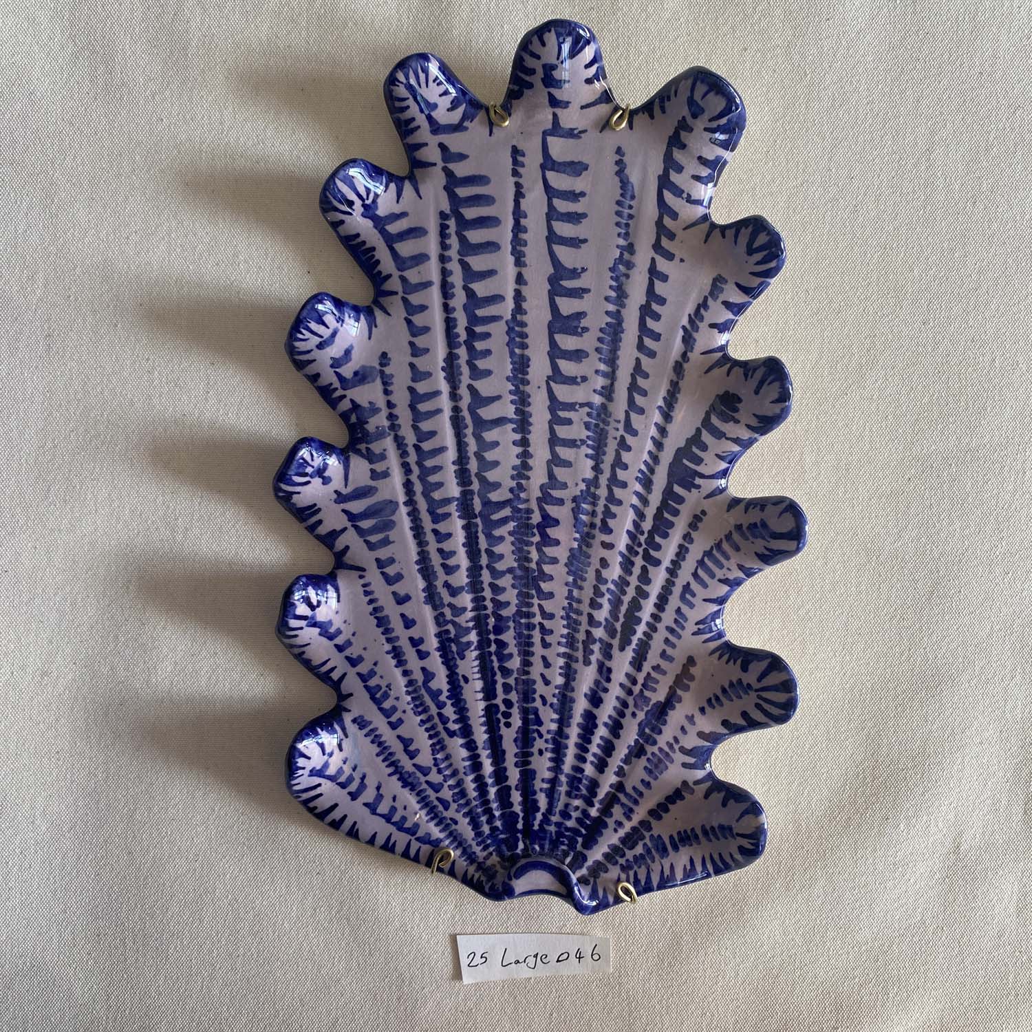 25 large shell 046