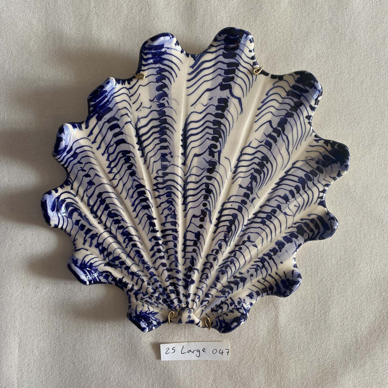 25 large shell 047