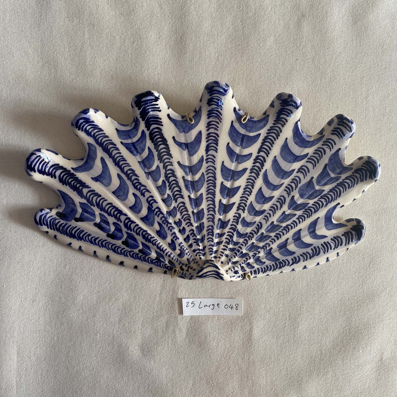 25 large shell 048