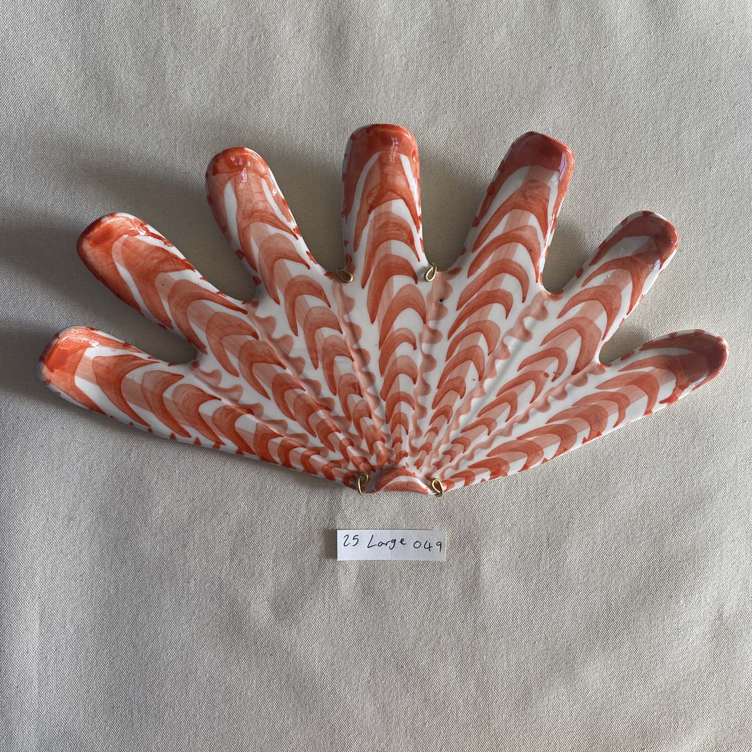 25 large shell 049