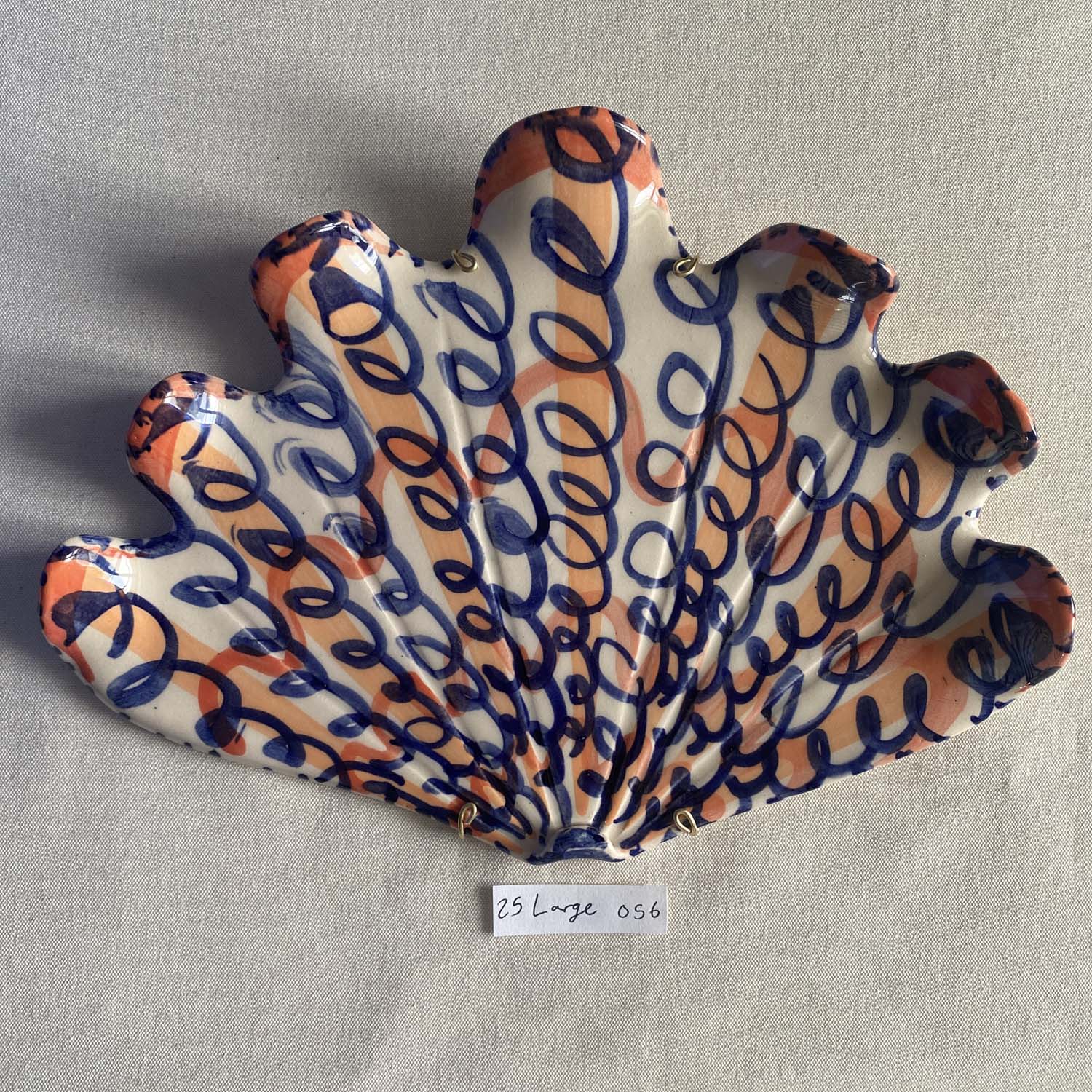 25 large shell 056