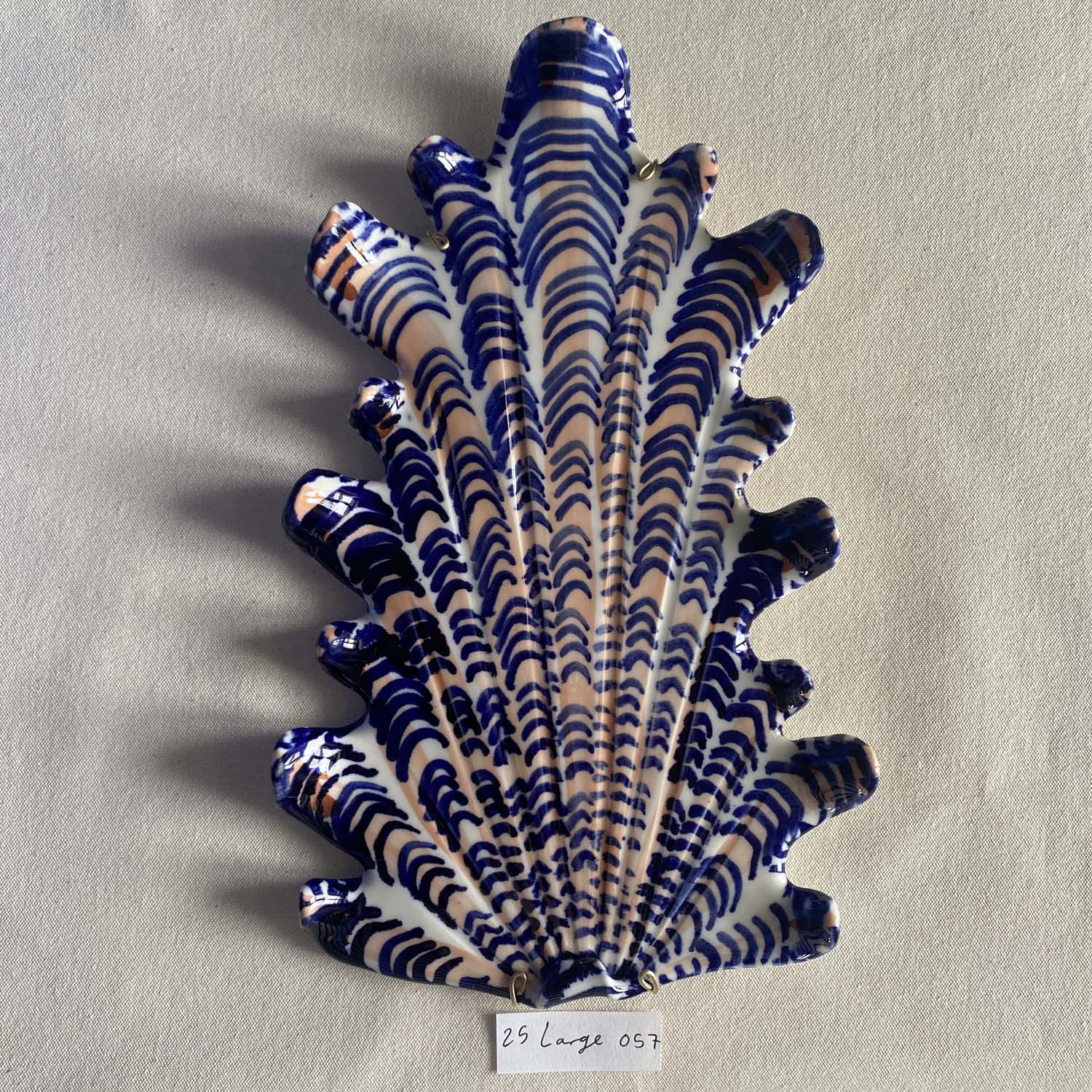 25 large shell 057