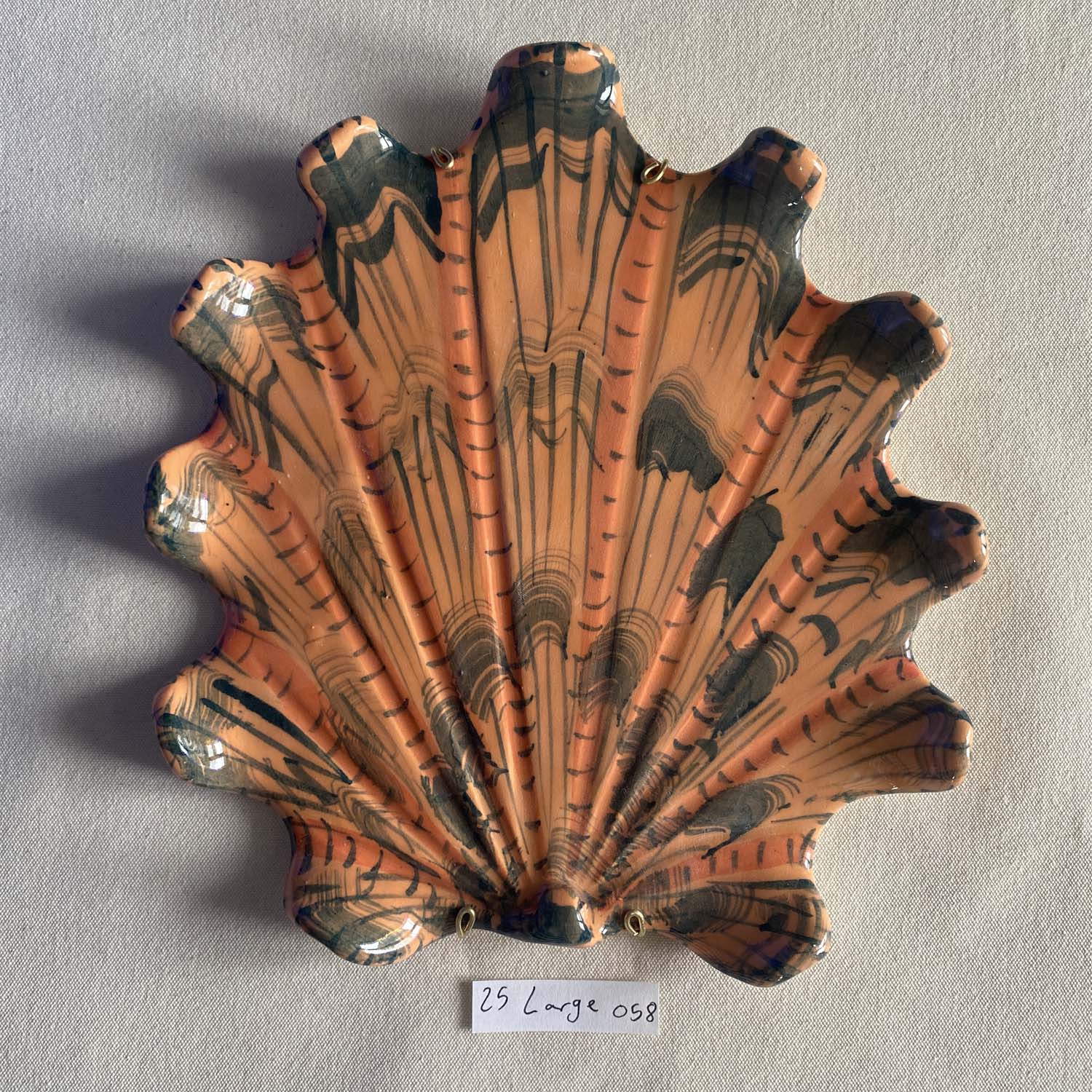 25 large shell 058