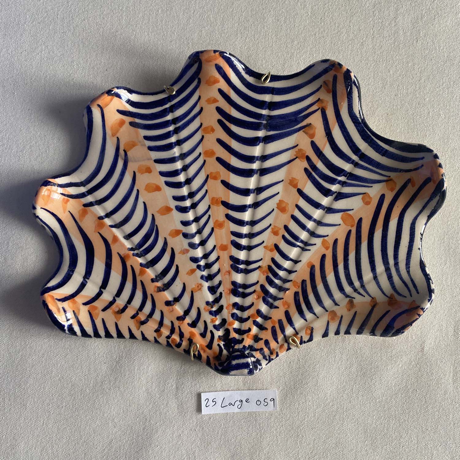 25 large shell 059