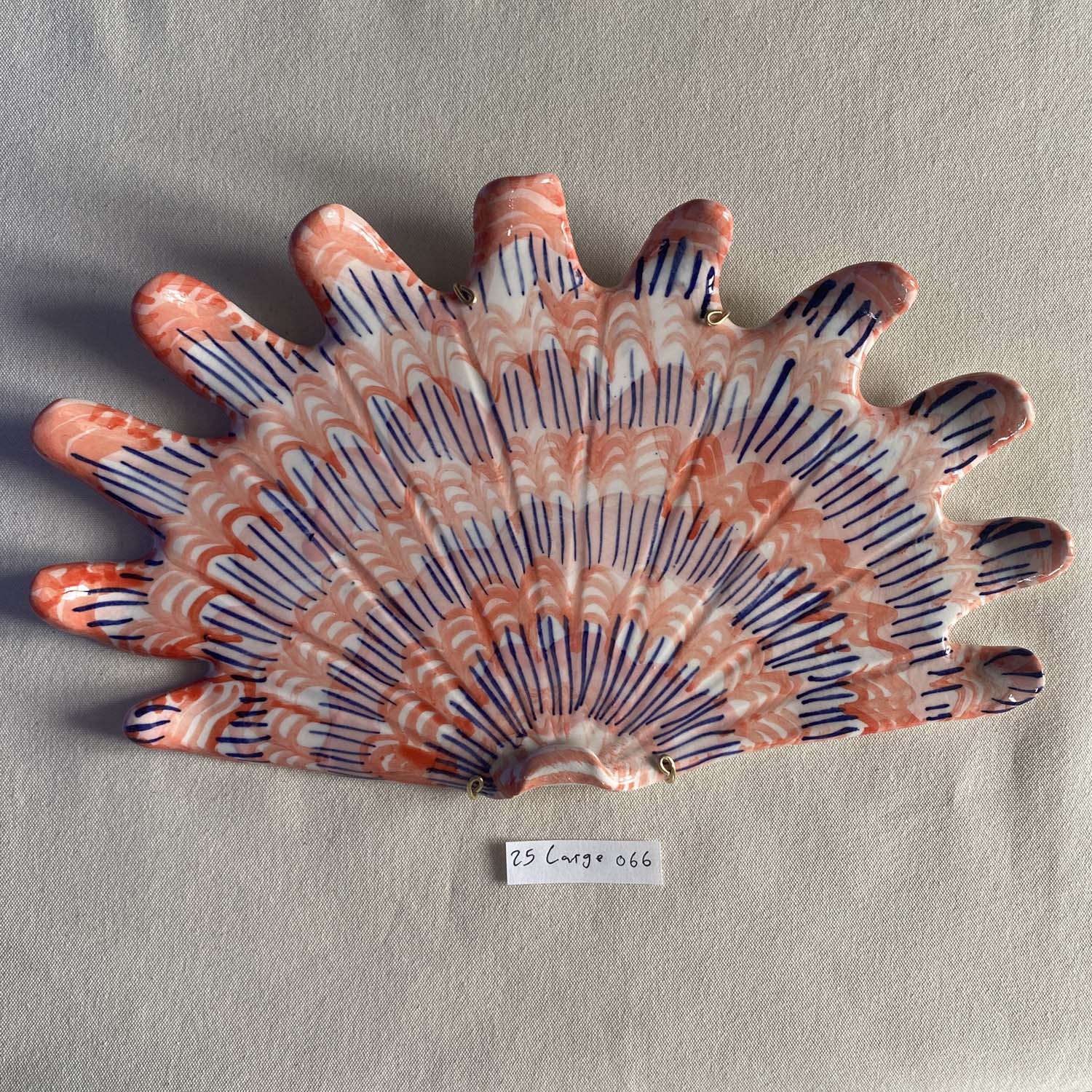 25 large shell 066