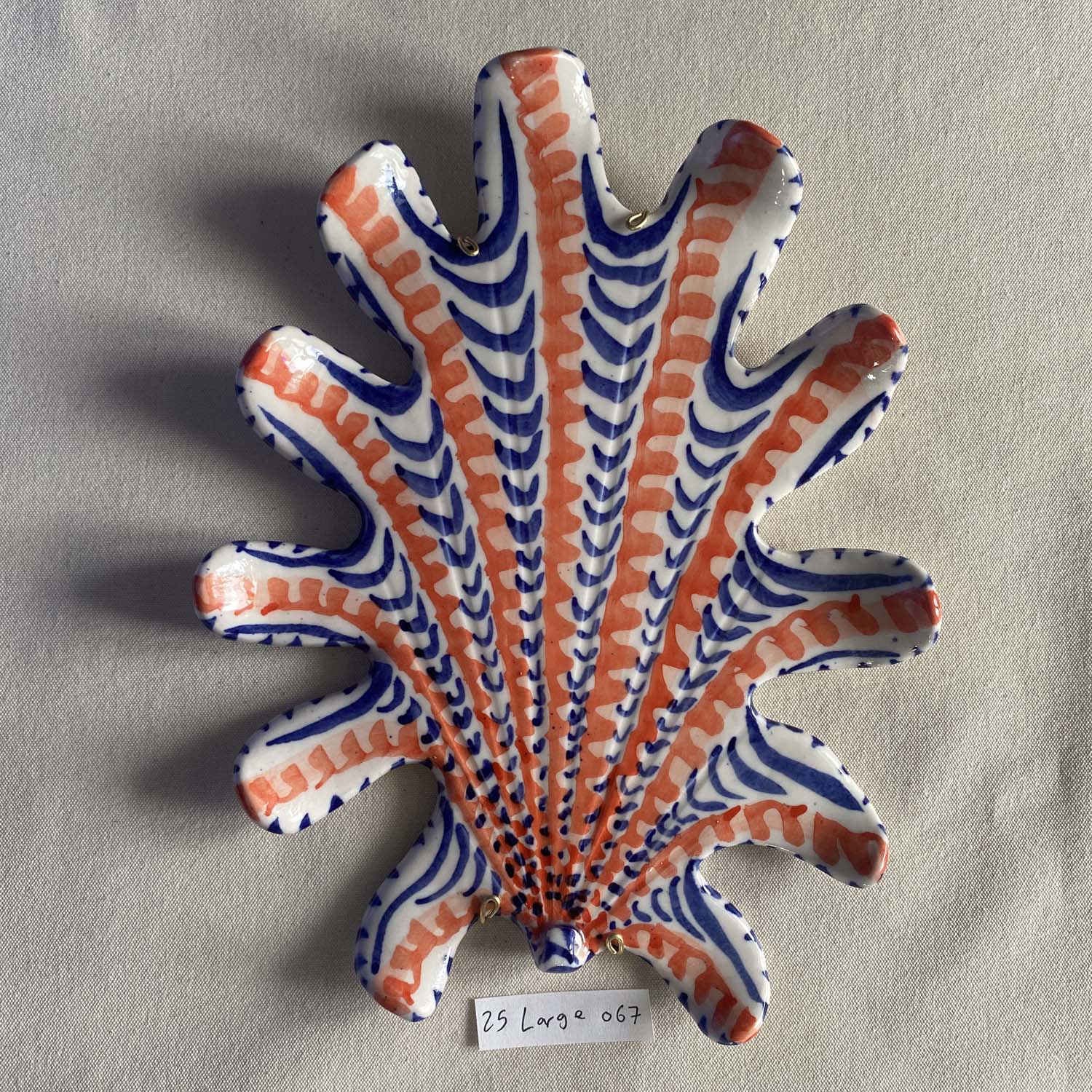 25 large shell 067