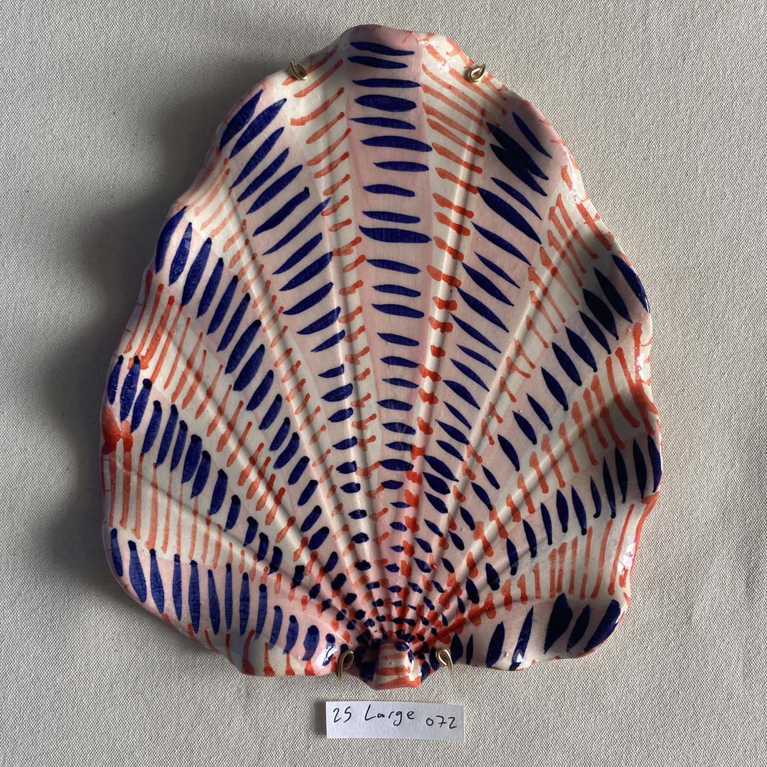 25 large shell 072