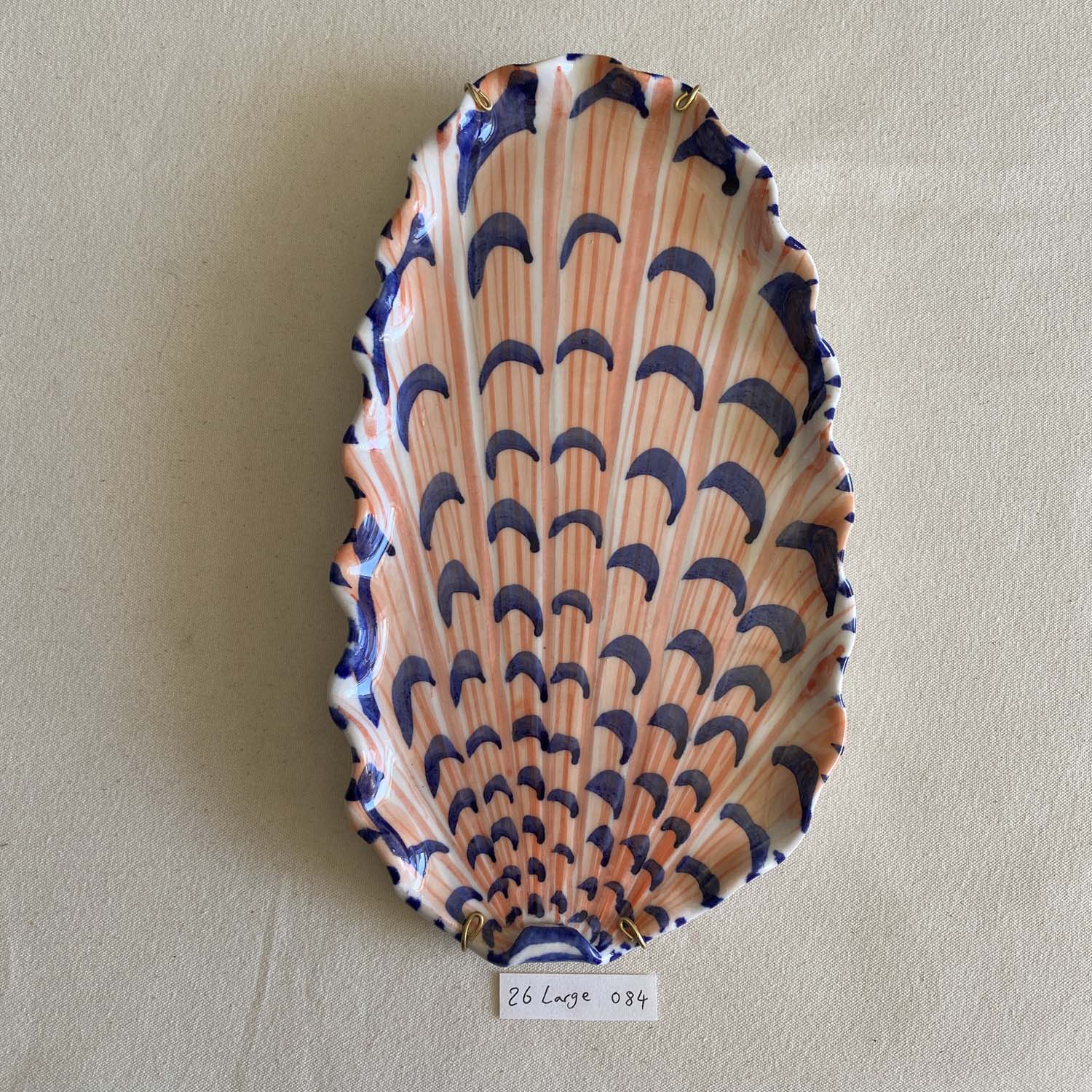 26 large shell 084
