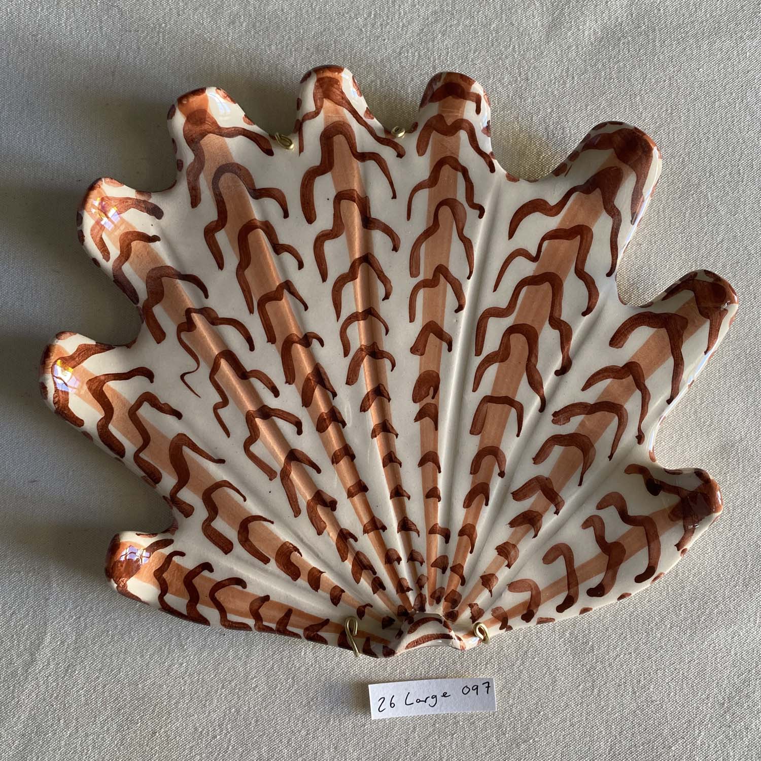 26 large shell 097