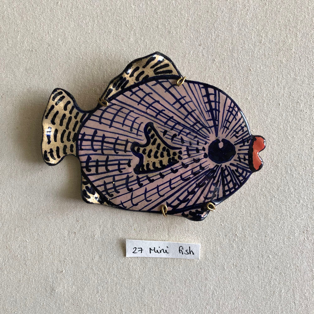27 Mini Fish