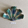 28 small shell 020