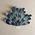 28 medium shell 023