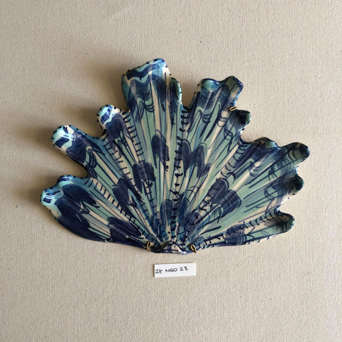 28 medium shell 023