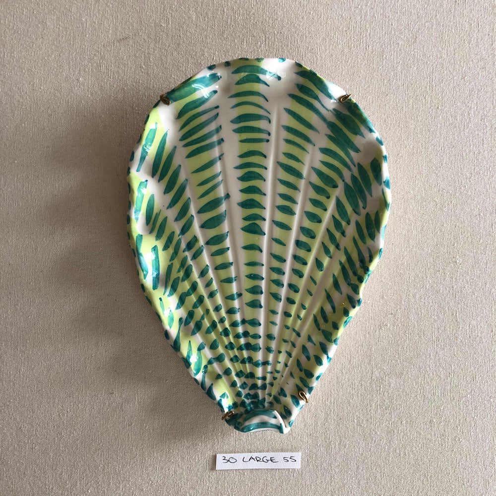 30 large shell 55