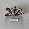 31 mini shell 13