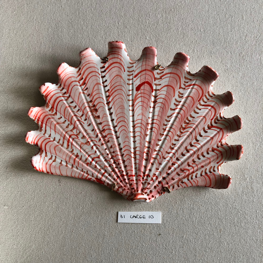 31 large shell 010