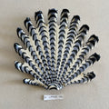 31 large shell 102